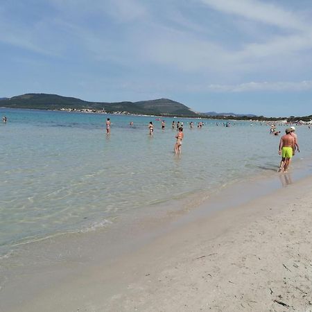 B&B Il Giardinetto Alghero Zewnętrze zdjęcie