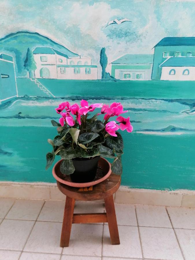 B&B Il Giardinetto Alghero Zewnętrze zdjęcie