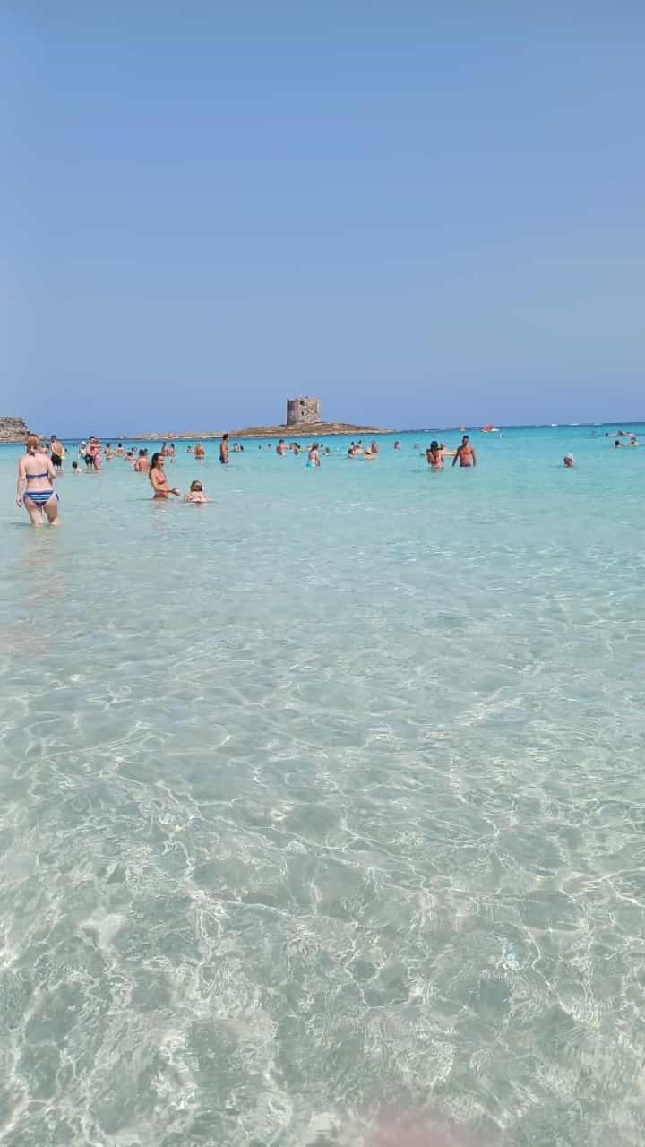 B&B Il Giardinetto Alghero Zewnętrze zdjęcie